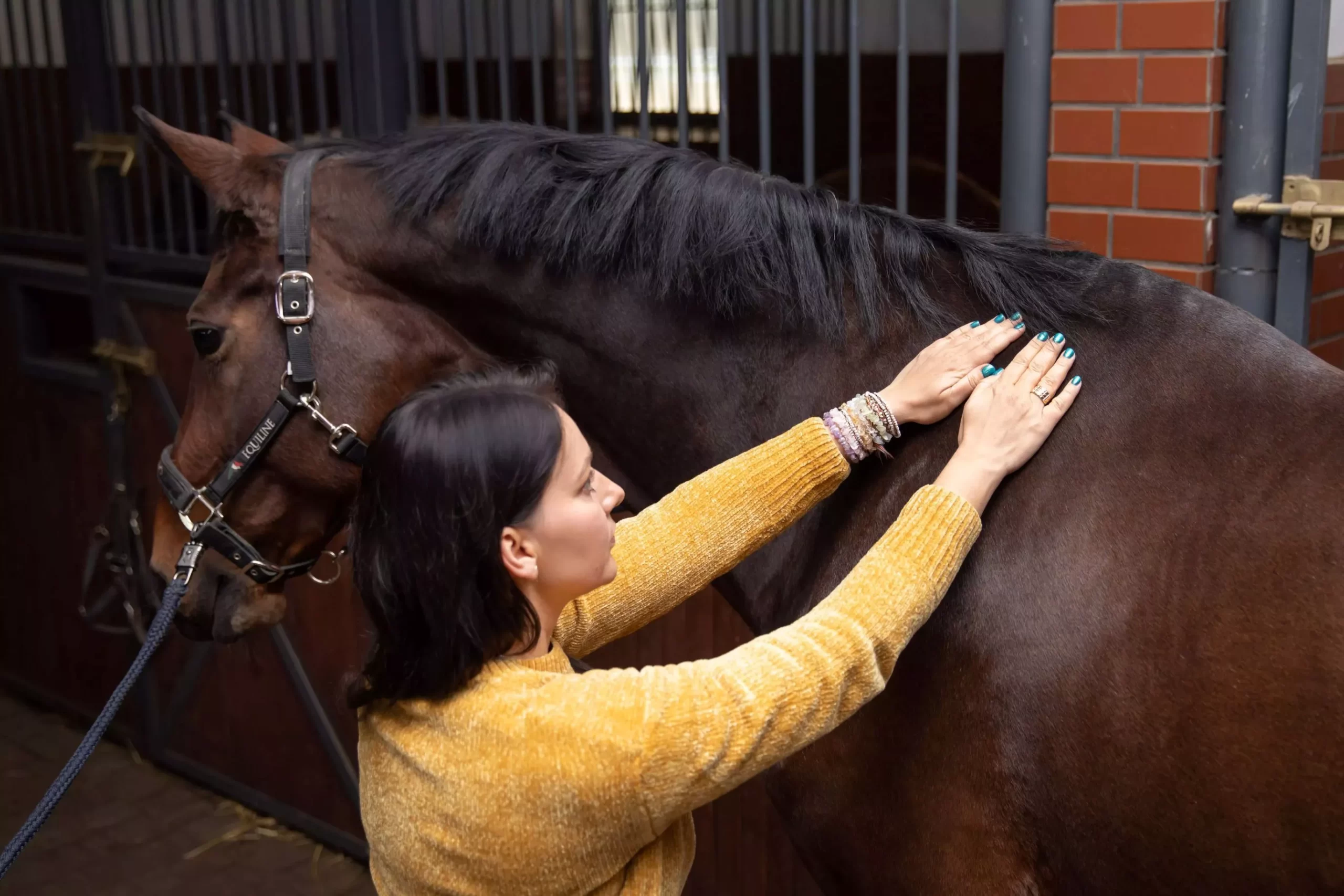 Jak powinna wyglądać wizyta fizjoterapeuty u Twojego konia